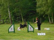 DSCN4557.JPG