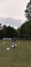 IMG-20190915-WA0004.jpg