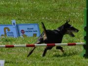 DSCN4701.JPG